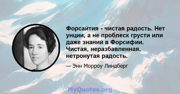 Форсайтия - чистая радость. Нет унции, а не проблеск грусти или даже знаний в Форсифии. Чистая, неразбавленная, нетронутая радость.