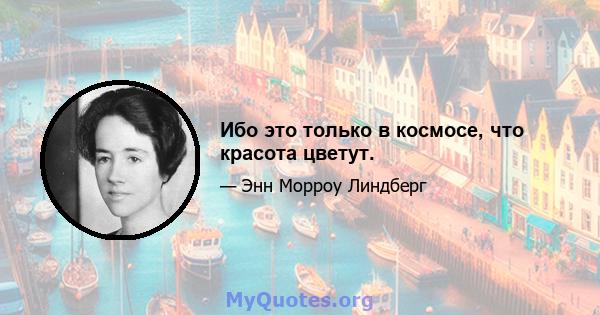 Ибо это только в космосе, что красота цветут.