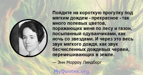 Пойдите на короткую прогулку под мягким дождем - прекрасное - так много полевых цветов, поражающих меня по лесу и газон, посыпанный одуванчиками, как ночь со звездами. И через это весь звук мягкого дождя, как звук