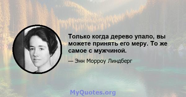 Только когда дерево упало, вы можете принять его меру. То же самое с мужчиной.