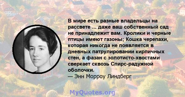 В мире есть разные владельцы на рассвете ... даже ваш собственный сад не принадлежит вам. Кролики и черные птицы имеют газоны; Кошка черепахи, которая никогда не появляется в дневных патрулировании кирпичных стен, а