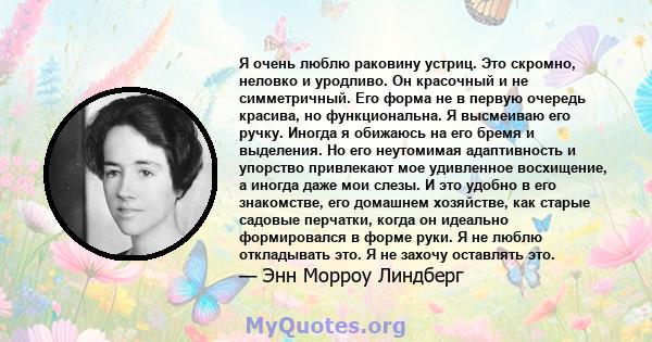 Я очень люблю раковину устриц. Это скромно, неловко и уродливо. Он красочный и не симметричный. Его форма не в первую очередь красива, но функциональна. Я высмеиваю его ручку. Иногда я обижаюсь на его бремя и выделения. 