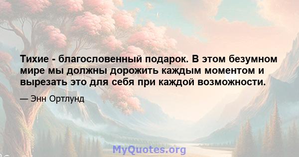 Тихие - благословенный подарок. В этом безумном мире мы должны дорожить каждым моментом и вырезать это для себя при каждой возможности.