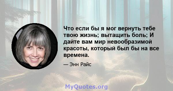 Что если бы я мог вернуть тебе твою жизнь; вытащить боль; И дайте вам мир невообразимой красоты, который был бы на все времена.