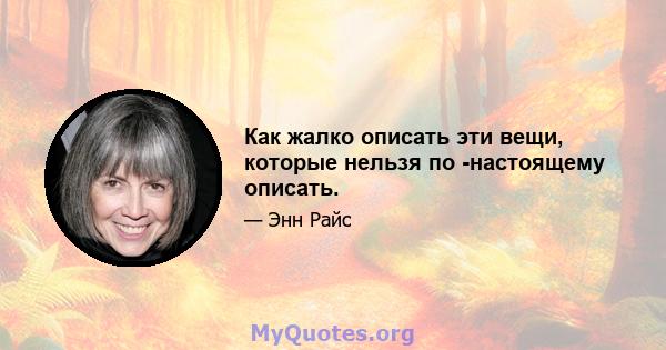 Как жалко описать эти вещи, которые нельзя по -настоящему описать.