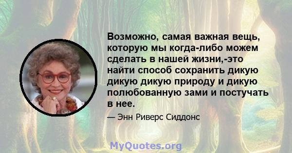 Возможно, самая важная вещь, которую мы когда-либо можем сделать в нашей жизни,-это найти способ сохранить дикую дикую дикую природу и дикую полюбованную зами и постучать в нее.