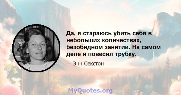 Да, я стараюсь убить себя в небольших количествах, безобидном занятии. На самом деле я повесил трубку.