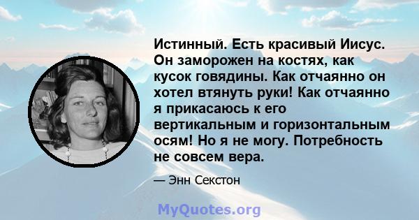 Истинный. Есть красивый Иисус. Он заморожен на костях, как кусок говядины. Как отчаянно он хотел втянуть руки! Как отчаянно я прикасаюсь к его вертикальным и горизонтальным осям! Но я не могу. Потребность не совсем вера.