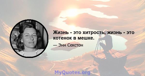 Жизнь - это хитрость, жизнь - это котенок в мешке.