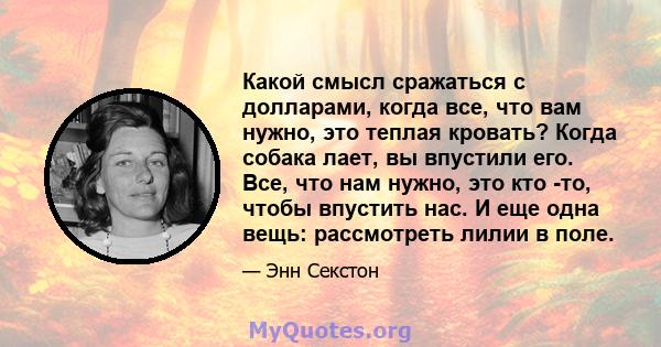 Какой смысл сражаться с долларами, когда все, что вам нужно, это теплая кровать? Когда собака лает, вы впустили его. Все, что нам нужно, это кто -то, чтобы впустить нас. И еще одна вещь: рассмотреть лилии в поле.