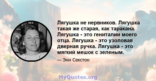 Лягушка не нервников. Лягушка такая же старая, как таракана. Лягушка - это гениталии моего отца. Лягушка - это узоловая дверная ручка. Лягушка - это мягкий мешок с зеленым.