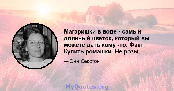 Магаришки в воде - самый длинный цветок, который вы можете дать кому -то. Факт. Купить ромашки. Не розы.