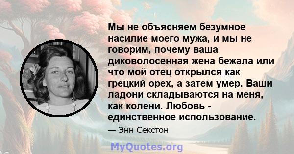 Мы не объясняем безумное насилие моего мужа, и мы не говорим, почему ваша диковолосенная жена бежала или что мой отец открылся как грецкий орех, а затем умер. Ваши ладони складываются на меня, как колени. Любовь -