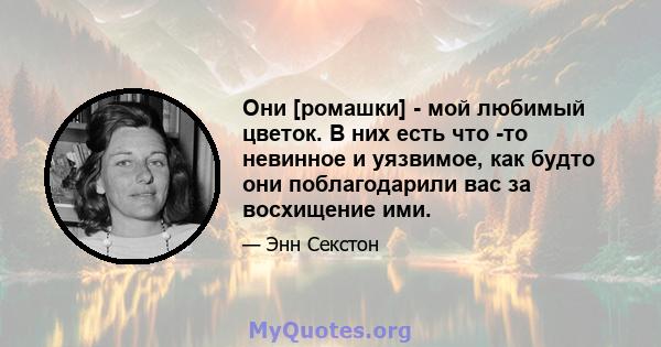 Они [ромашки] - мой любимый цветок. В них есть что -то невинное и уязвимое, как будто они поблагодарили вас за восхищение ими.