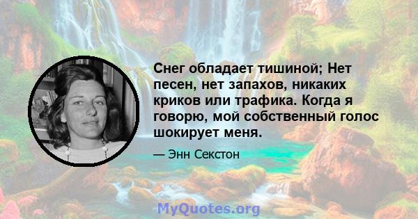 Снег обладает тишиной; Нет песен, нет запахов, никаких криков или трафика. Когда я говорю, мой собственный голос шокирует меня.