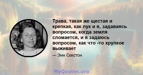 Трава, такая же щестая и крепкая, как лук и я, задаваясь вопросом, когда земля сломается, и я задаюсь вопросом, как что -то хрупкое выживает