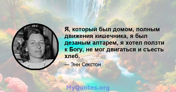 Я, который был домом, полным движения кишечника, я был дезаным алтарем, я хотел ползти к Богу, не мог двигаться и съесть хлеб.