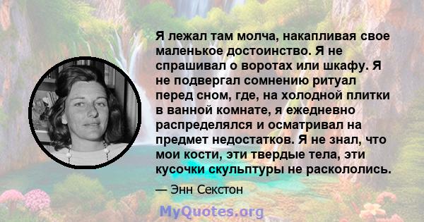 Я лежал там молча, накапливая свое маленькое достоинство. Я не спрашивал о воротах или шкафу. Я не подвергал сомнению ритуал перед сном, где, на холодной плитки в ванной комнате, я ежедневно распределялся и осматривал