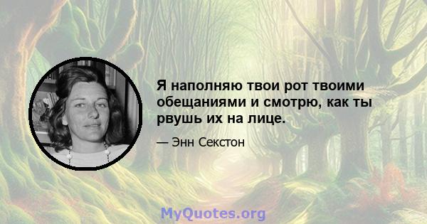 Я наполняю твои рот твоими обещаниями и смотрю, как ты рвушь их на лице.