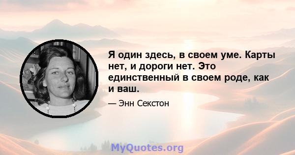 Я один здесь, в своем уме. Карты нет, и дороги нет. Это единственный в своем роде, как и ваш.