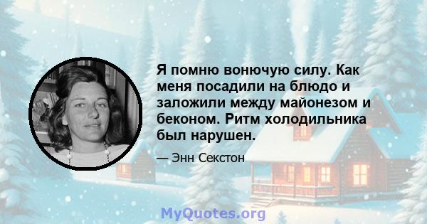 Я помню вонючую силу. Как меня посадили на блюдо и заложили между майонезом и беконом. Ритм холодильника был нарушен.