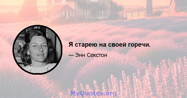 Я старею на своей горечи.