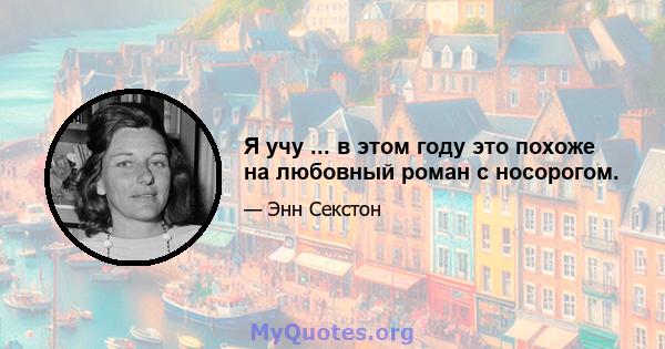 Я учу ... в этом году это похоже на любовный роман с носорогом.