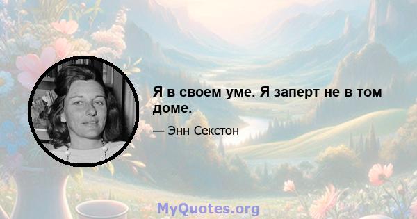 Я в своем уме. Я заперт не в том доме.