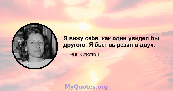 Я вижу себя, как один увидел бы другого. Я был вырезан в двух.