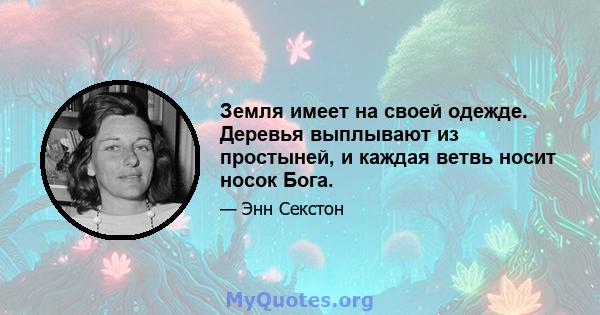 Земля имеет на своей одежде. Деревья выплывают из простыней, и каждая ветвь носит носок Бога.