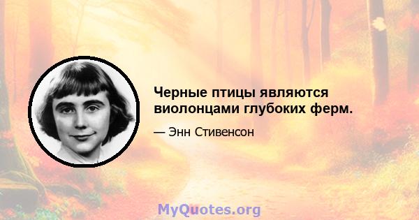 Черные птицы являются виолонцами глубоких ферм.