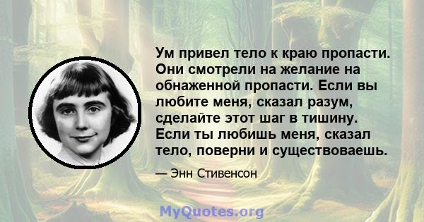 Ум привел тело к краю пропасти. Они смотрели на желание на обнаженной пропасти. Если вы любите меня, сказал разум, сделайте этот шаг в тишину. Если ты любишь меня, сказал тело, поверни и существоваешь.