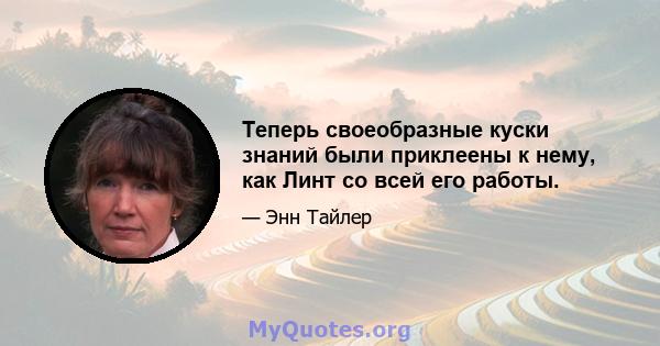 Теперь своеобразные куски знаний были приклеены к нему, как Линт со всей его работы.