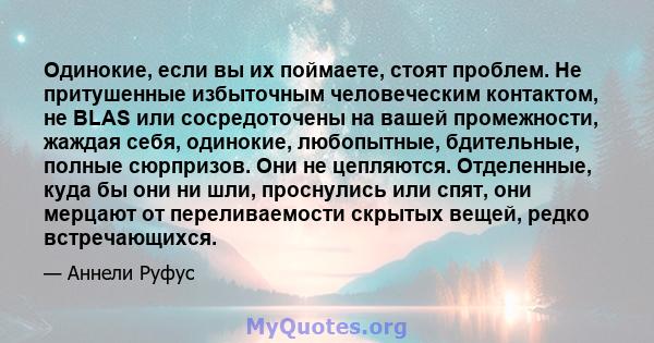 Одинокие, если вы их поймаете, стоят проблем. Не притушенные избыточным человеческим контактом, не BLAS или сосредоточены на вашей промежности, жаждая себя, одинокие, любопытные, бдительные, полные сюрпризов. Они не