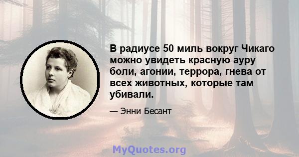 В радиусе 50 миль вокруг Чикаго можно увидеть красную ауру боли, агонии, террора, гнева от всех животных, которые там убивали.