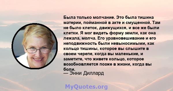 Была только молчание. Это была тишина материи, пойманной в акте и смущенной. Там не было клеток, движущихся, и все же были клетки. Я мог видеть форму земли, как она лежала, молча. Его уравновешивание и его неподвижность 