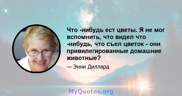 Что -нибудь ест цветы. Я не мог вспомнить, что видел что -нибудь, что съел цветок - они привилегированные домашние животные?