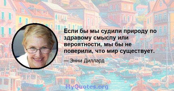 Если бы мы судили природу по здравому смыслу или вероятности, мы бы не поверили, что мир существует.