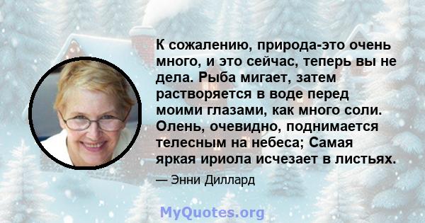 К сожалению, природа-это очень много, и это сейчас, теперь вы не дела. Рыба мигает, затем растворяется в воде перед моими глазами, как много соли. Олень, очевидно, поднимается телесным на небеса; Самая яркая ириола