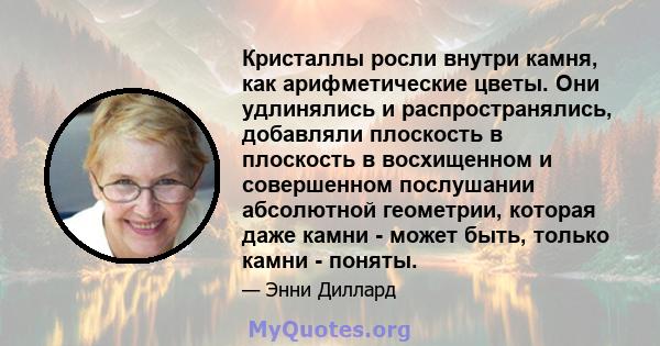 Кристаллы росли внутри камня, как арифметические цветы. Они удлинялись и распространялись, добавляли плоскость в плоскость в восхищенном и совершенном послушании абсолютной геометрии, которая даже камни - может быть,