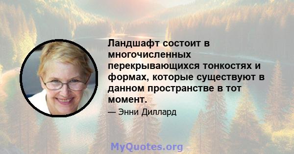 Ландшафт состоит в многочисленных перекрывающихся тонкостях и формах, которые существуют в данном пространстве в тот момент.