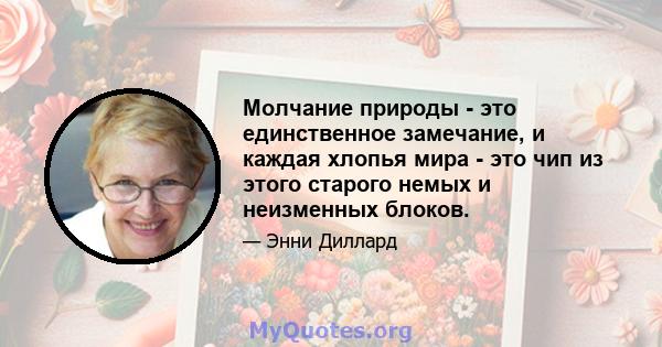 Молчание природы - это единственное замечание, и каждая хлопья мира - это чип из этого старого немых и неизменных блоков.