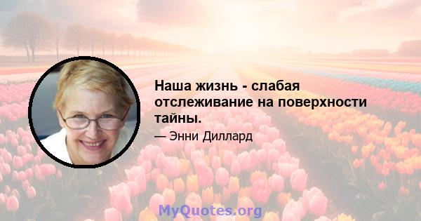 Наша жизнь - слабая отслеживание на поверхности тайны.