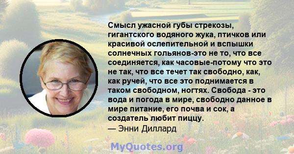 Смысл ужасной губы стрекозы, гигантского водяного жука, птичков или красивой ослепительной и вспышки солнечных гольянов-это не то, что все соединяется, как часовые-потому что это не так, что все течет так свободно, как, 