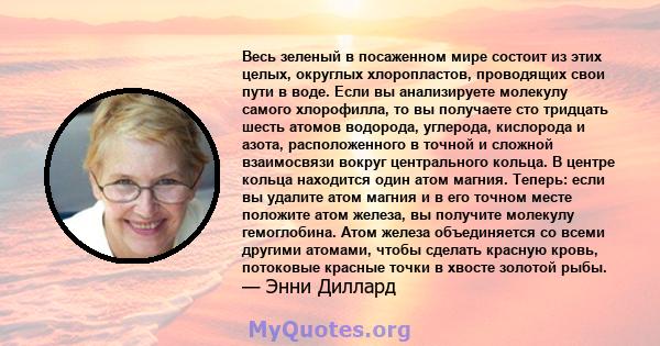 Весь зеленый в посаженном мире состоит из этих целых, округлых хлоропластов, проводящих свои пути в воде. Если вы анализируете молекулу самого хлорофилла, то вы получаете сто тридцать шесть атомов водорода, углерода,