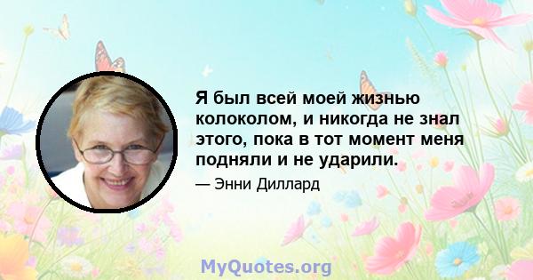 Я был всей моей жизнью колоколом, и никогда не знал этого, пока в тот момент меня подняли и не ударили.