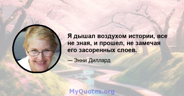 Я дышал воздухом истории, все не зная, и прошел, не замечая его засоренных слоев.