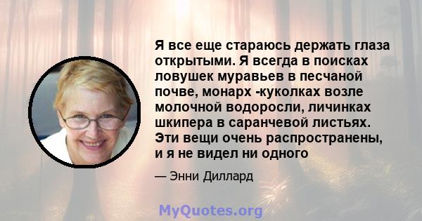 Я все еще стараюсь держать глаза открытыми. Я всегда в поисках ловушек муравьев в песчаной почве, монарх -куколках возле молочной водоросли, личинках шкипера в саранчевой листьях. Эти вещи очень распространены, и я не