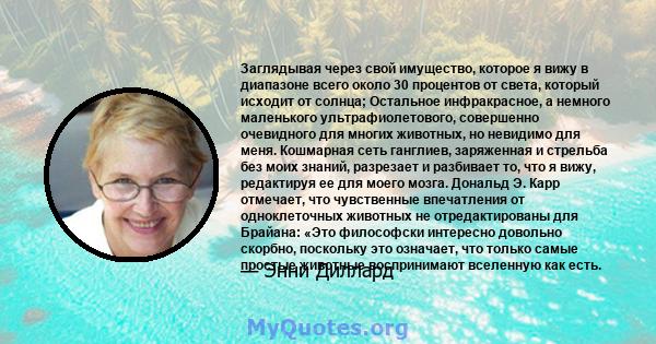 Заглядывая через свой имущество, которое я вижу в диапазоне всего около 30 процентов от света, который исходит от солнца; Остальное инфракрасное, а немного маленького ультрафиолетового, совершенно очевидного для многих