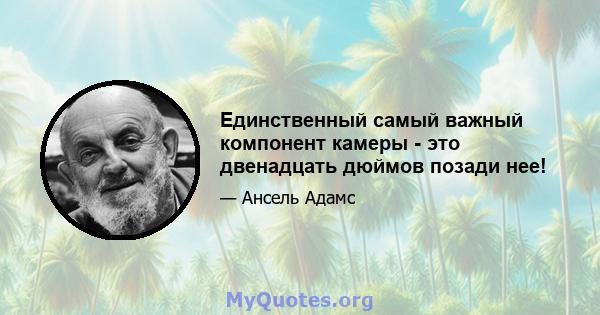 Единственный самый важный компонент камеры - это двенадцать дюймов позади нее!